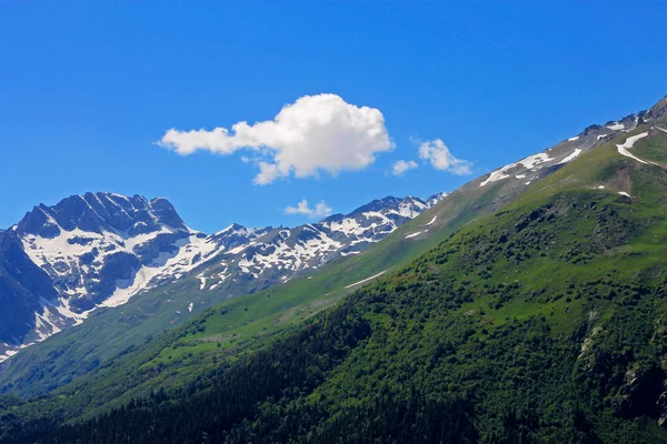Caucasus Mountains Peaks Snow Clear Blue Sky Green Forest Foreground — Stock Photo, Image
