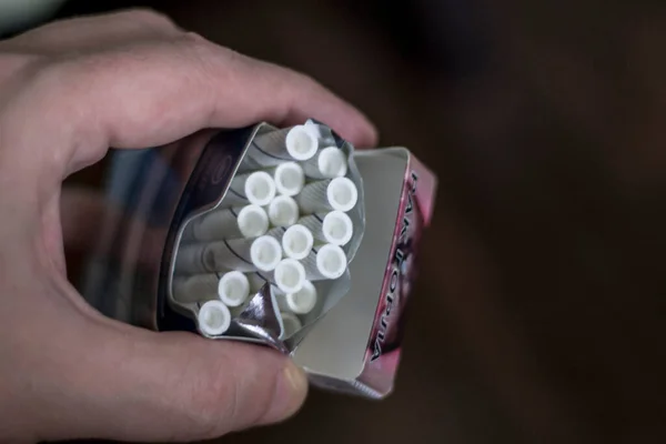 Ember Tart Egy Nyitott Csomag Cigarettát Szűrőkkel Sötét Háttér — Stock Fotó