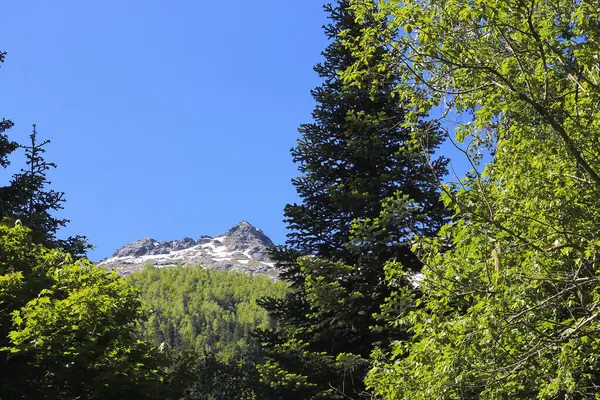 Los Picos Las Montañas Del Cáucaso Bajo Nieve Cielo Azul — Foto de Stock