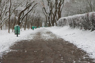 Boş karlı kış yolu ve açık kış parkındaki ağaçlar.