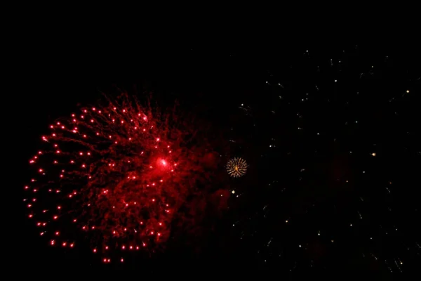 Celebration Colored Firework Flashing Black Night Sky Background — Stock Photo, Image