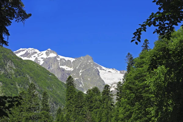 Picos Das Montanhas Cáucaso Sob Neve Céu Azul Claro Floresta — Fotografia de Stock