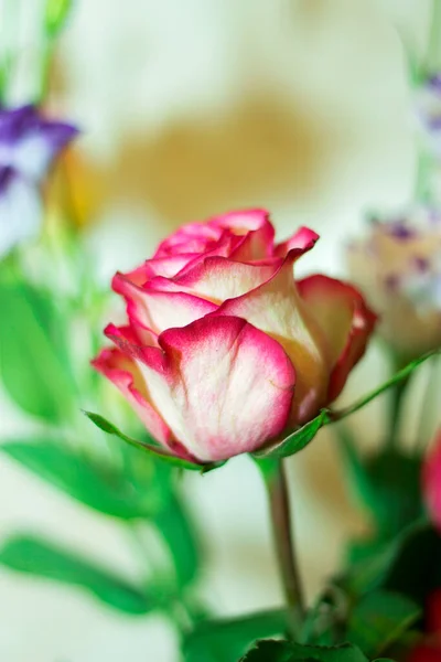 粉红与白玫瑰的紧密相连 点缀在爱的花束中 — 图库照片