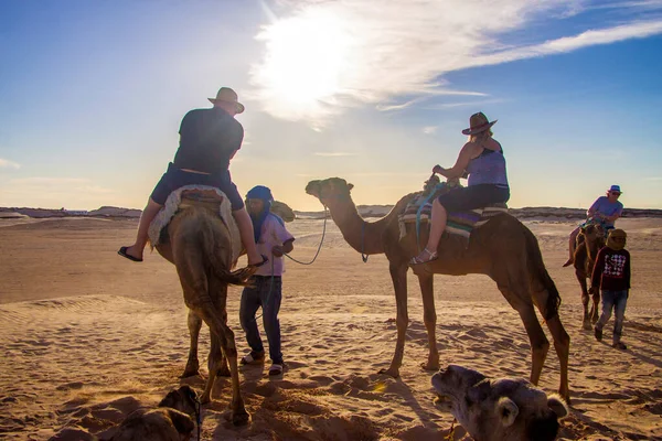 Touristengruppe Über Dromedar Kamele Beim Wandern Sand Der Sahara Tunesien — Stockfoto