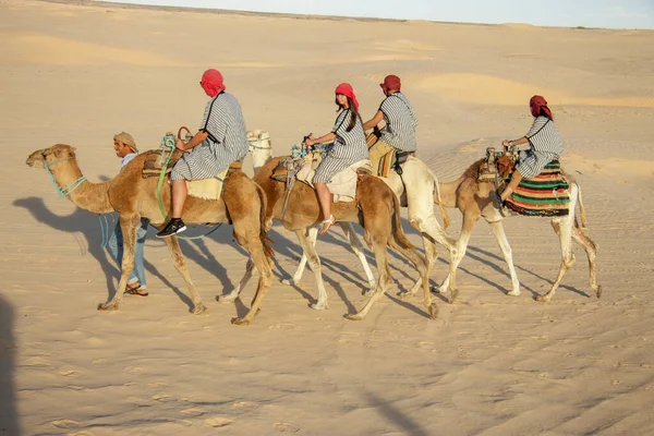 Touristengruppe Auf Dromedar Kamelen Beim Wandern Sand Der Sahara Tunesien — Stockfoto