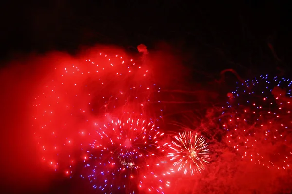 Celebrating firework in the black night sky — Stock Photo, Image