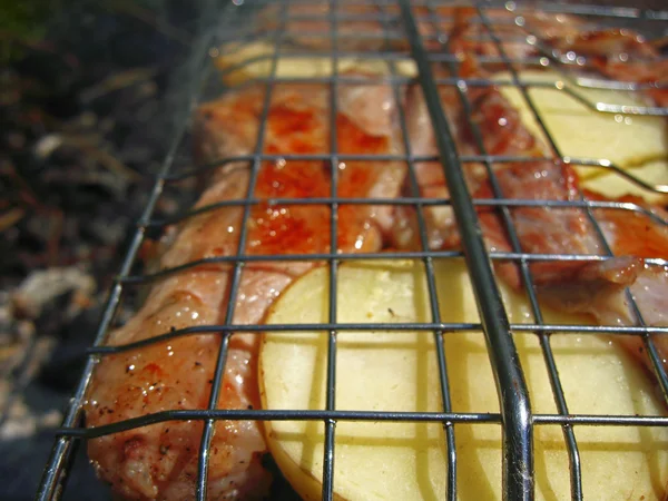 Жареное барбекю на костре и угле — стоковое фото