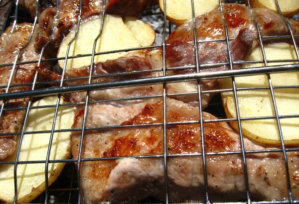 Barbacoa frita en la hoguera y carbones —  Fotos de Stock