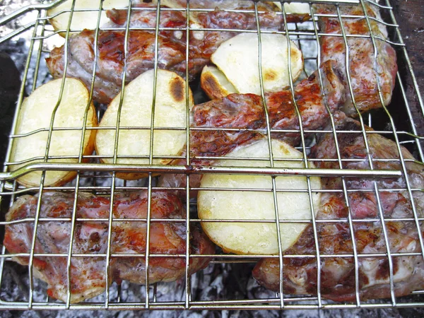 Barbacoa frita en la hoguera y carbones — Foto de Stock