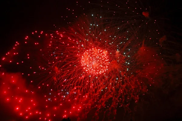 Celebrating firework in the black night sky — Stock Photo, Image