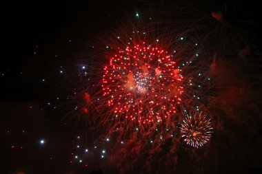 siyah gece gökyüzünde havai fişek kutlama