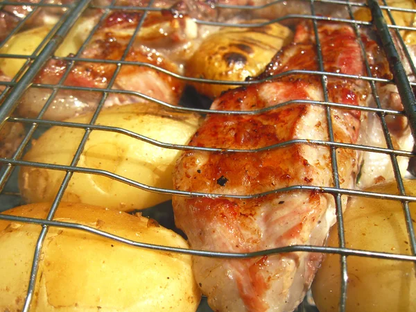 Barbecue frit sur le feu de joie et les charbons — Photo