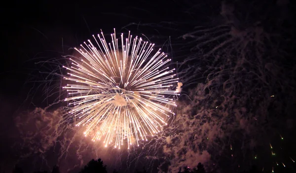 Celebrating firework in the black night sky — Stock Photo, Image