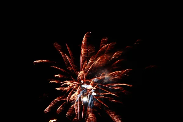 Celebration firework in the black night sky — Stock Photo, Image