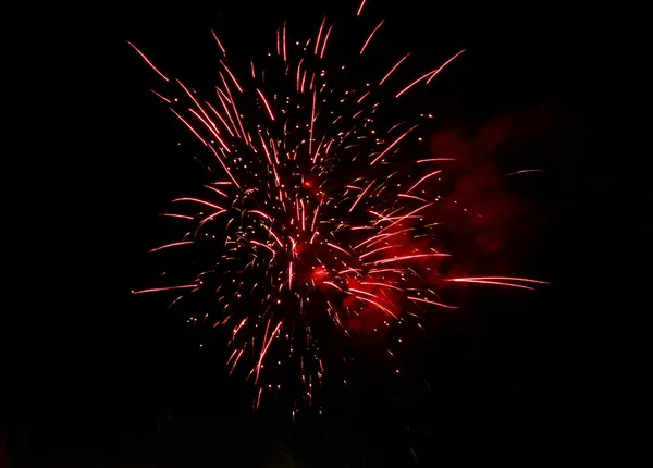 Fuegos artificiales de celebración en el cielo negro de la noche —  Fotos de Stock