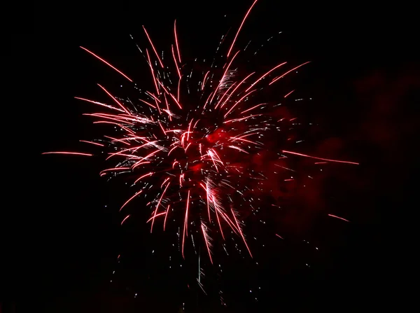 Feuerwerk am schwarzen Nachthimmel — Stockfoto