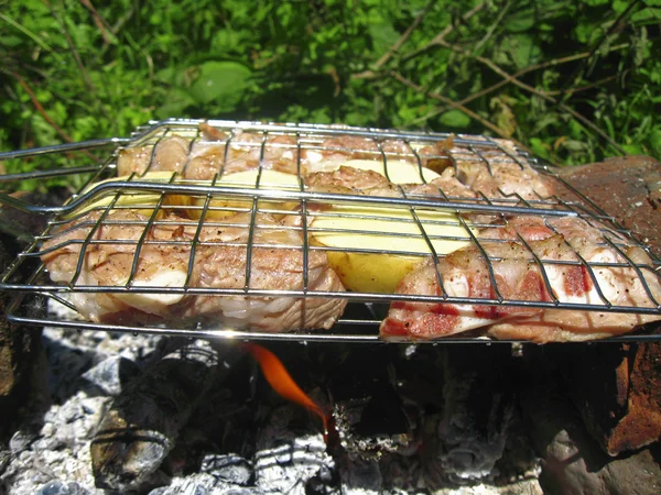 Şenlik ateşi ve kömürlerin üzerinde kızarmış Barbekü — Stok fotoğraf