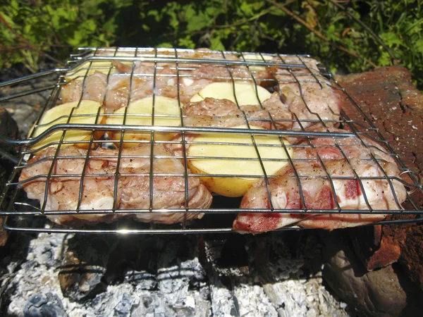 Churrasco frito na fogueira e carvão — Fotografia de Stock