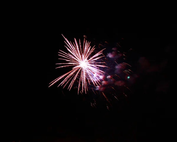 Fogos de artifício de celebração no céu negro da noite — Fotografia de Stock