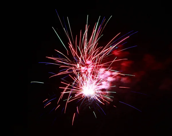 Celebration firework in the black night sky — Stock Photo, Image