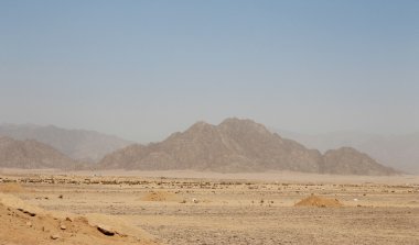 Mısır çöl ve mysty gökyüzü gündüz