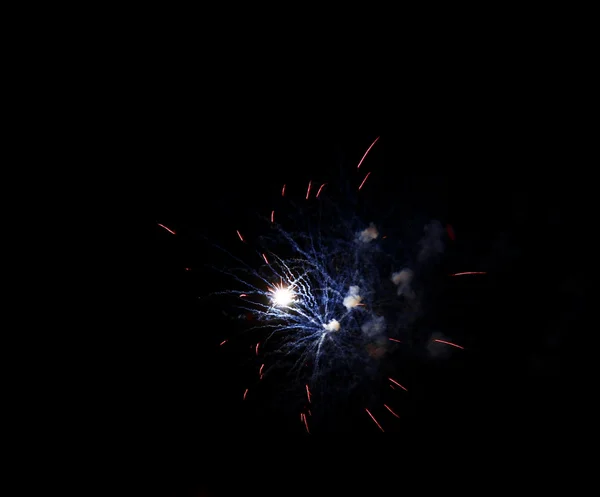 Celebration firework in the black night sky — Stock Photo, Image