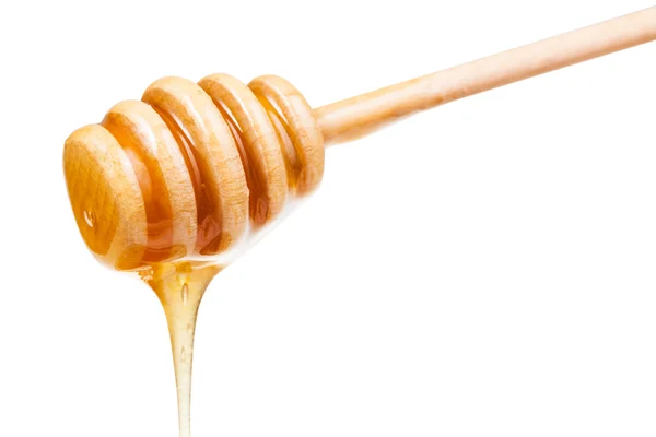 Чистый мед течет вниз из деревянной палки изолированы — стоковое фото