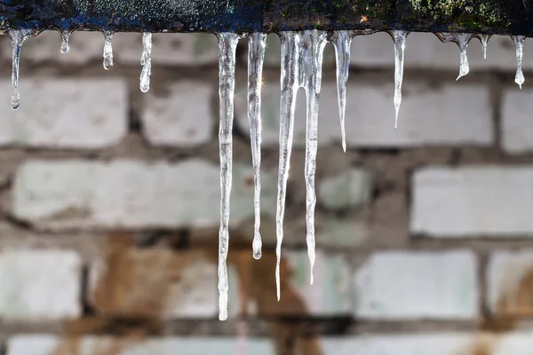 Buz sarkıtları ve arka plan üzerinde tuğla duvar — Stok fotoğraf