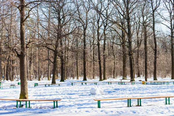 Área de recreação em bosque de carvalho do parque urbano — Fotografia de Stock