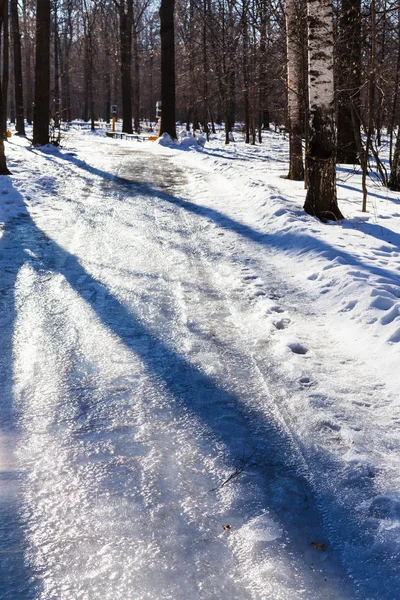 Скользкий путь в городском парке зимой — стоковое фото