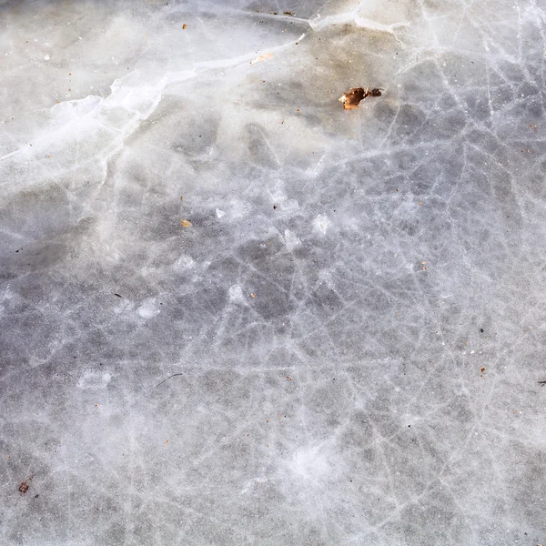 Frozen puddle in cold winter day — Stock Photo, Image