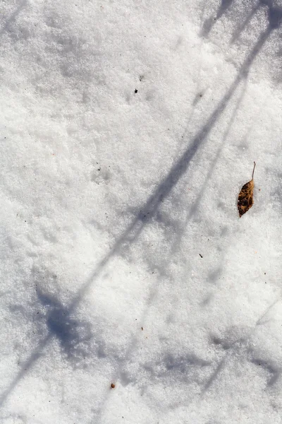 Oberfläche aus gefrorenem Schnee an kalten Wintertagen — Stockfoto