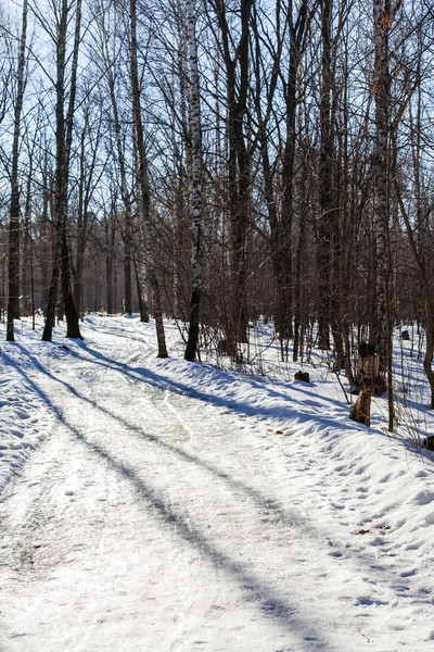 Sentiero scivoloso nel parco urbano in inverno — Foto Stock
