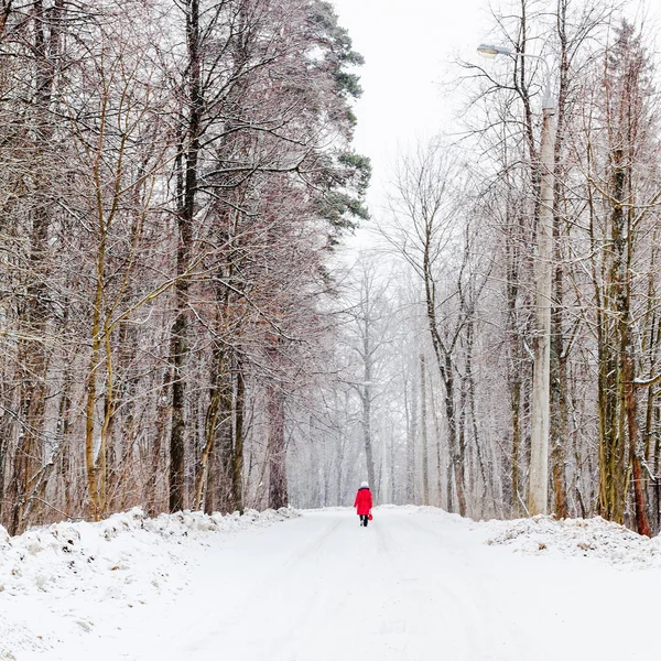 Woman walking along snow-covered road under snow — Stock Photo, Image