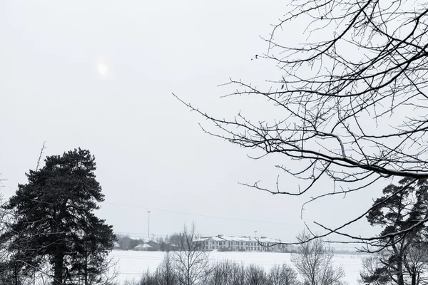 Grauer Himmel über Schneefeldern im Winter — Stockfoto