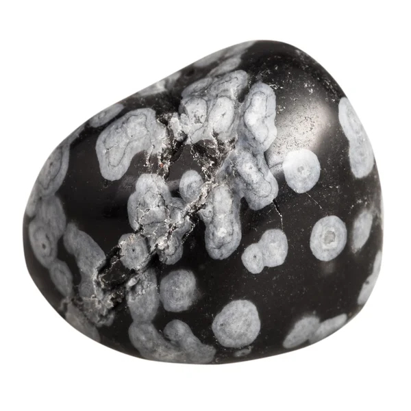 Tumlande snowflake obsidian mineral pärla sten — Stockfoto