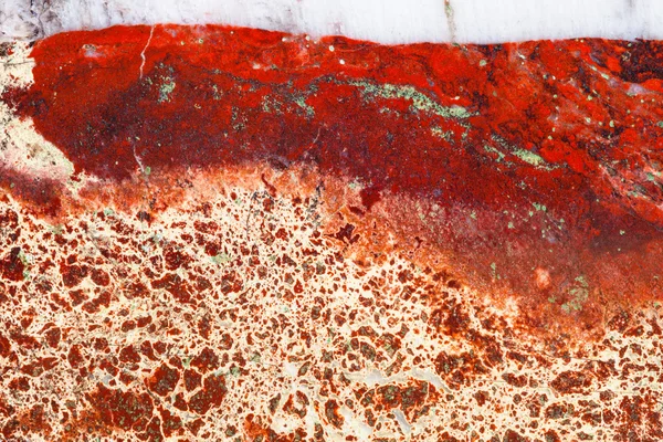 Piedra preciosa mineral de jaspe pulida brecciated — Foto de Stock