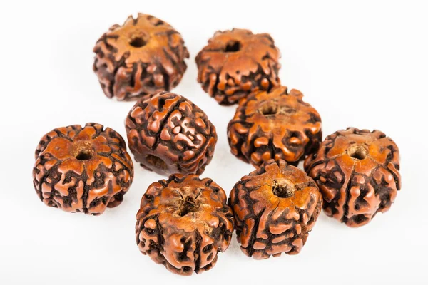 Perles en bois naturel de graines d'arbre Rudraksha — Photo