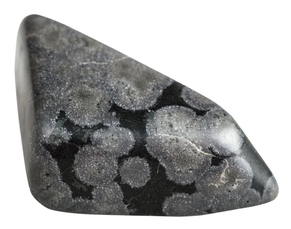 Kamień klejnot mineralny Variolite na białym tle — Zdjęcie stockowe