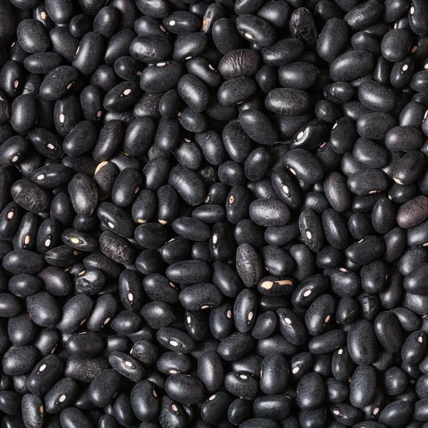 Many raw Black beans close up — Stock Photo, Image