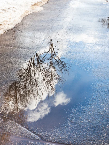 Bäume und Wolken spiegeln sich im Frühling in Pfützen — Stockfoto