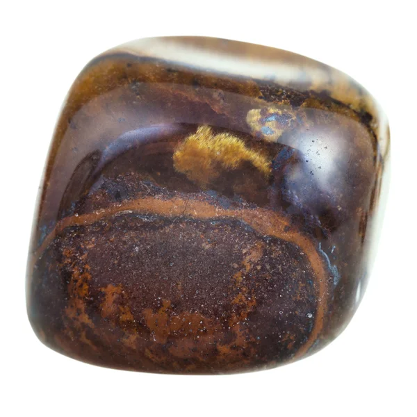 Minerale edelsteen gepolijst tiger-eye geïsoleerd — Stockfoto