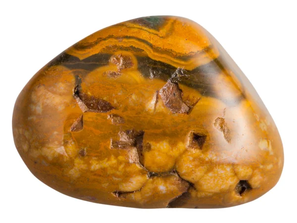 Polished leopard skin jasper mineral gemstone — Stock Photo, Image