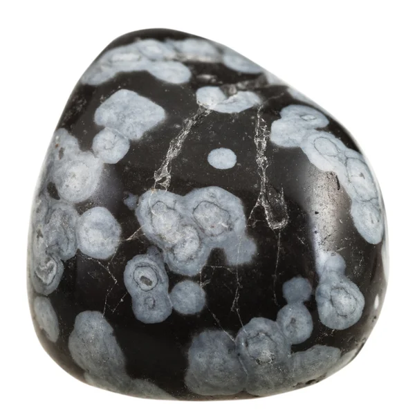 Piedra preciosa mineral obsidiana copo de nieve pulido — Foto de Stock