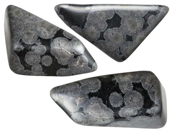 Set de pietre minerale variolite izolate pe alb — Fotografie, imagine de stoc