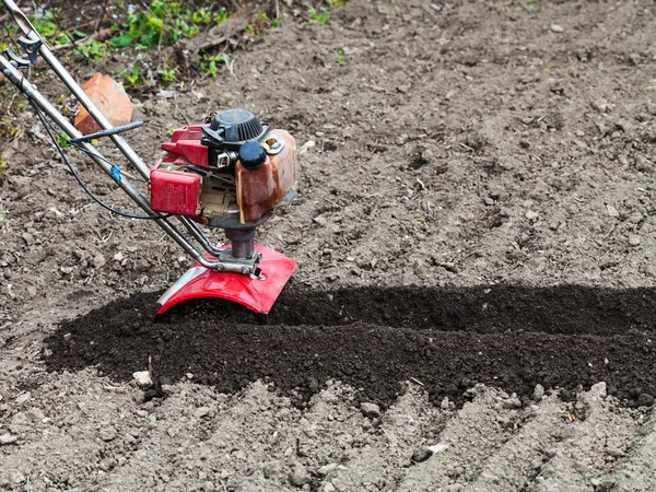 Tiller in loosened bed in field — Stock Photo, Image