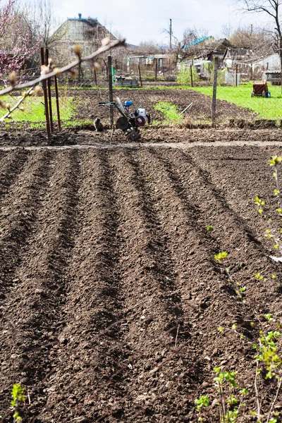 Arato giardino di campagna e timone nel villaggio — Foto Stock