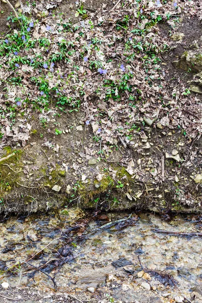 Stream bank in ravine in spring — Stock Photo, Image
