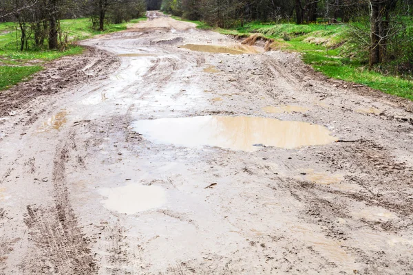 Regenachtige plassen op vuile landweg in het voorjaar — Stockfoto