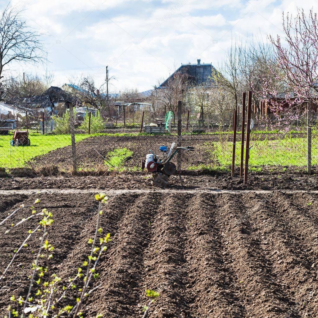 plough vegetable beds and cultivato in village